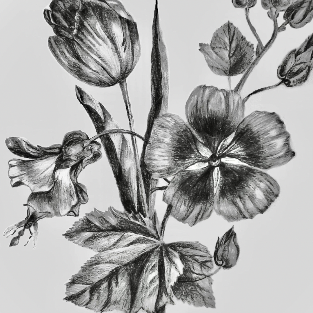 Morfars teckning av Malva och Iris