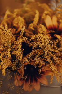Blommor, buketter och arrangemang för företag av Sofia Sima på Malva och Iris.