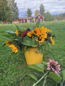 Blomsterkiosk, odling och självplock hos Malva och Iris i Djurås By.