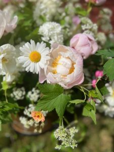 Sommarblommor och buketter av Sofia Sima på Malva och Iris.
