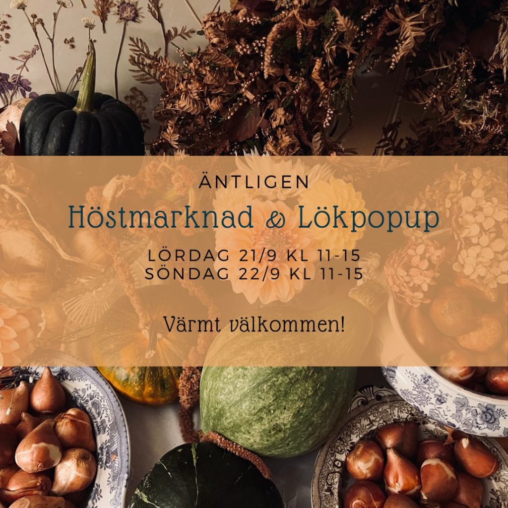 Höstmarknad och lökpopup