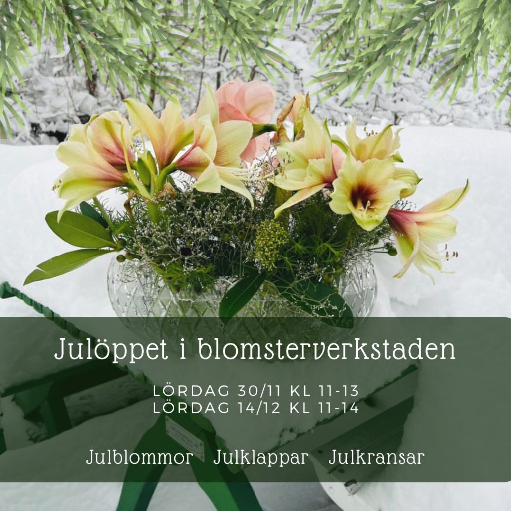 Julöppet i blomsterverkstaden