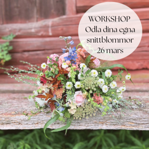 Bukett av blommor